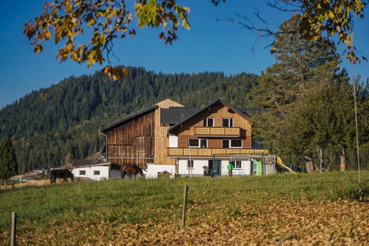 Deluxe Appartement Blasbichlerhof Ramsau am Dachstein Luaran gambar